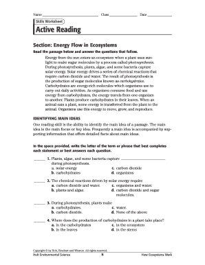 Skills Worksheet Active Reading Answers  Form