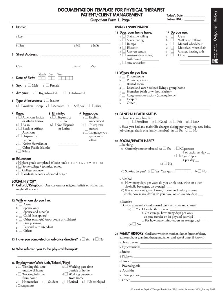 DOCUMENTATION TEMPLATE for PHYSICAL THERAPIST PATIENTCLIENT    Scranton  Form