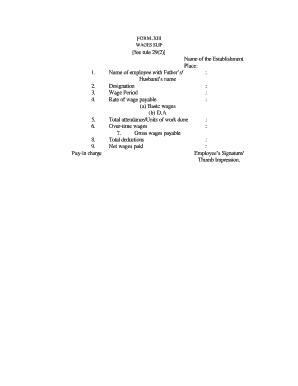 Form Xxviii Wage Slip Format