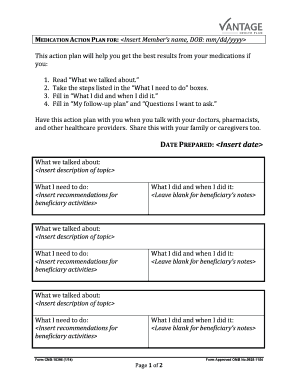 Medication Action Plan Example  Form