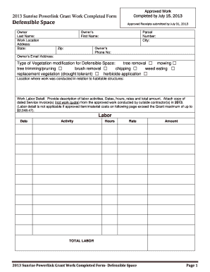 Sunrise Powerlink Grant  Form