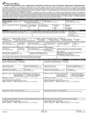 Spanish 1003  Form