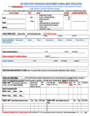 Ics Hsorg Application Form