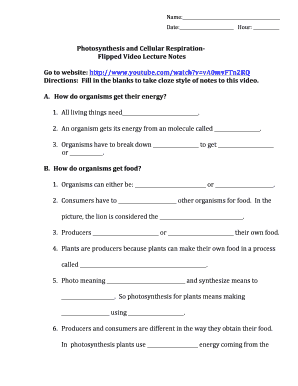 Photosynthesis and Cellular Respiration Flipped Classroom Video DOCX  Form