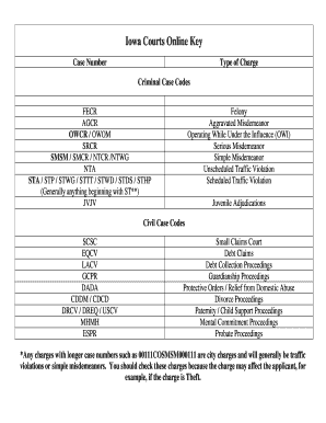 Iowa Courts Online  Form