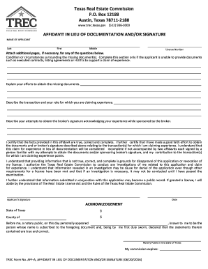 Affidavit in Lieu of Documents 1  Form