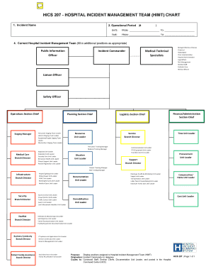 Hics Org Chart  Form