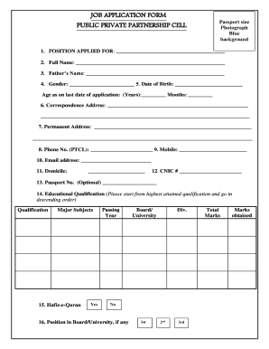 Ppp Punjab Gov Pk Jobs  Form