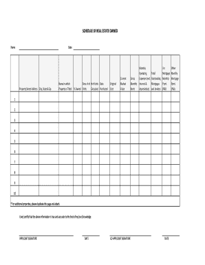 Schedule of Real Estate Owned Form