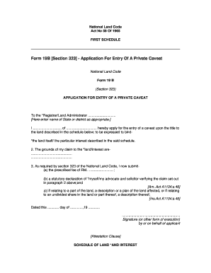 Form 19b National Land Code