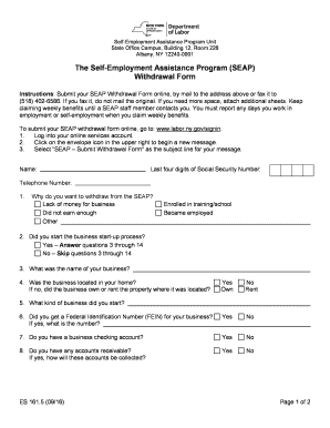 Seap Program Ny  Form