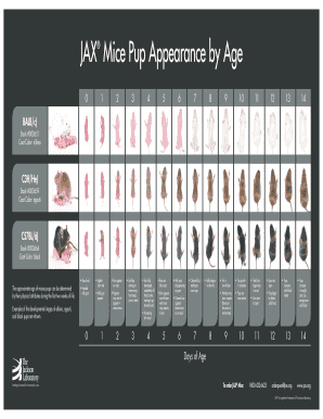 Mouse Age Chart  Form