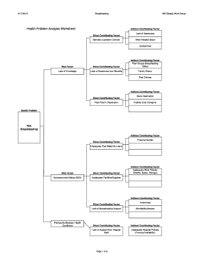 Health Problem Analysis Worksheet  Form