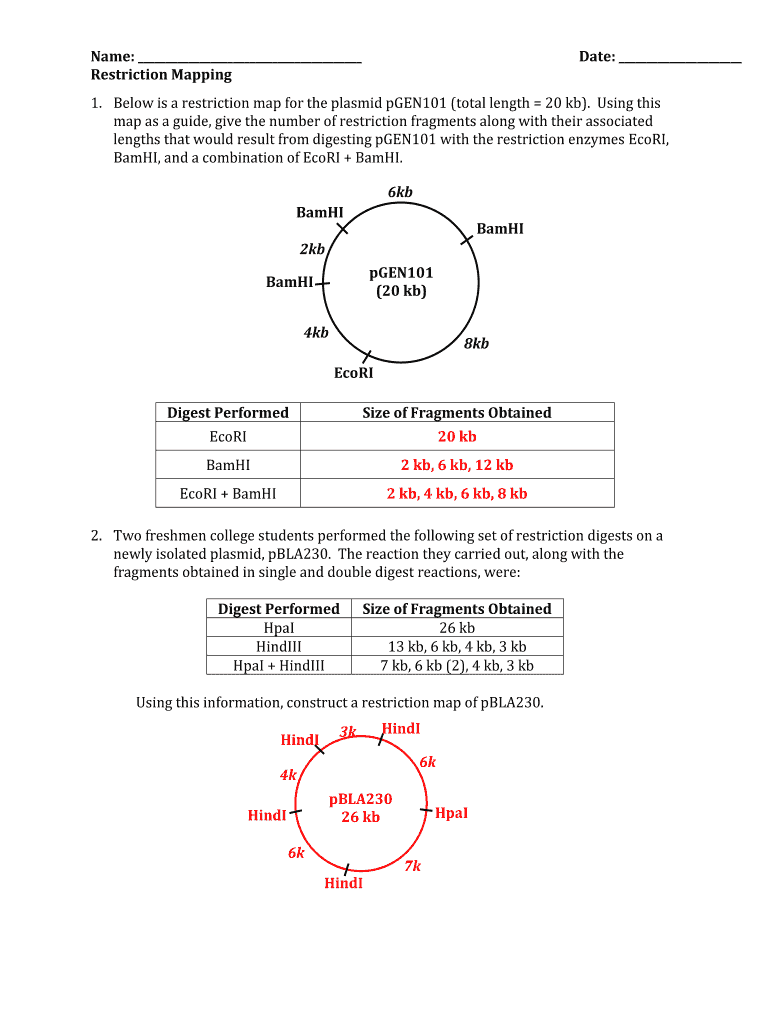 Below is a Restriction Map for the Plasmid Pgen101  Form