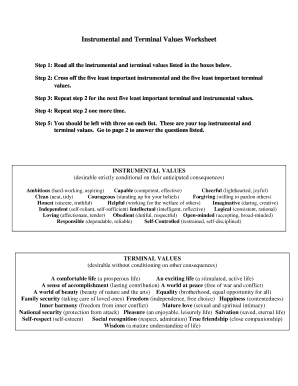 Instrumental and Terminal Values Worksheet  Form