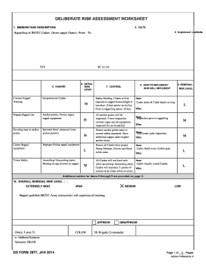 Deliberate Risk Assessment Worksheet  Form