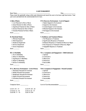 Casii Scoring Guide PDF  Form