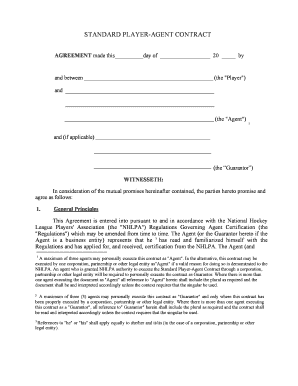 Nhl Standard Player Contract  Form