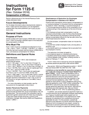  Irs Form 1125 E 2016