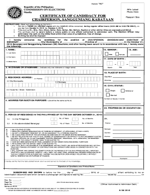 Bir Annex B2 Form Download