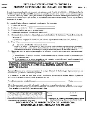 MH 646S Caregivers Authorization Affidavit Spanish 04 03 13 File Lacounty  Form