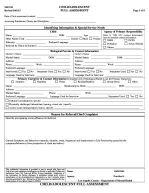 Dmh Assessment PDF  Form