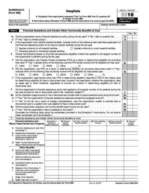 Schedule H (990 form)