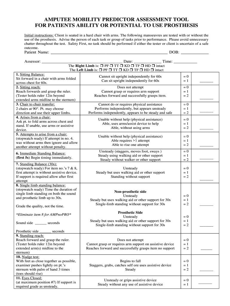 Amppro PDF  Form