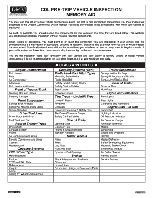 CDL PRE TRIP VEHICLE INSPECTION  Form