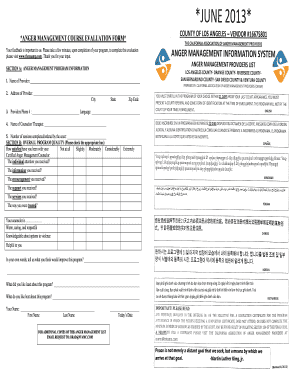 Anger Management Evaluation Form