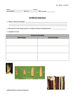 Selective Breeding Worksheet PDF Answer Key  Form