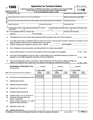 Form Separate Instructions and Additional Information Are Irs