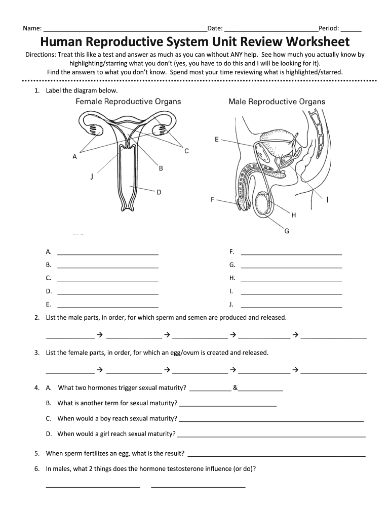 Human Reproductive System Unit Review Worksheet  Form