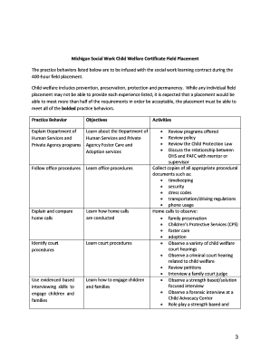 Michigan Social Work Child Welfare Certificate Endorsement Application  Form