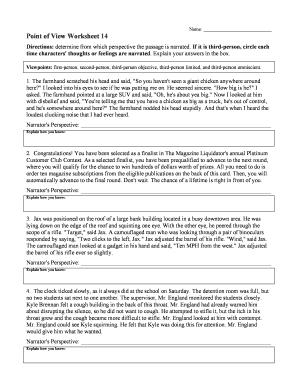 Point of View Worksheet 2  Form