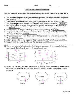 Diffusion and Osmosis Worksheet  Form