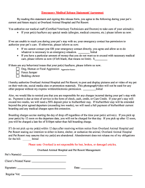 Emergency Medical Release Statement Agreement  Form