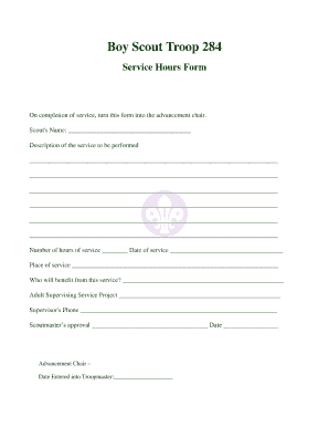 Bsa Service Hours Form