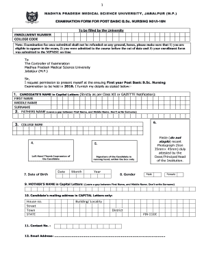 Mpmsu Institute Online Apl Com  Form