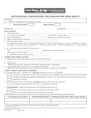 Pnb Self Declaration Form