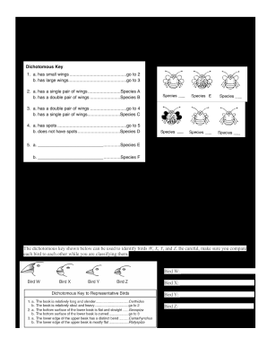 Dichotomous Key Worksheet Answers PDF  Form