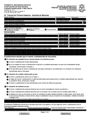  Petition Youth Ct 2014