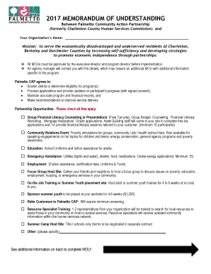 Palmetto Community Action Partnership  Form