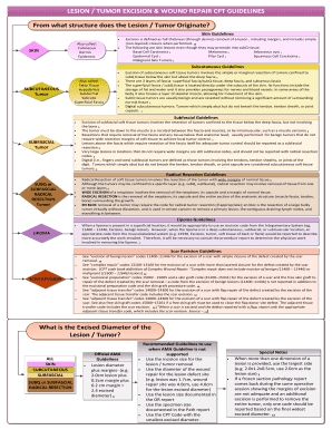 LESION TUMOR EXCISION &amp; WOUND REPAIR CPT GUIDELINES  Form