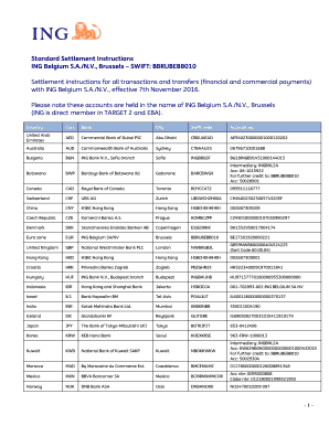 Standard Settlement Instructions Example  Form