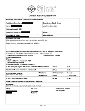 Audit Proforma Template