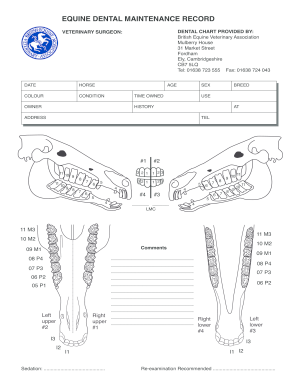 Equine Dental Chart