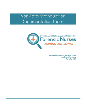 Non Fatal Strangulation Documentation Toolkit Forensicnurses  Form
