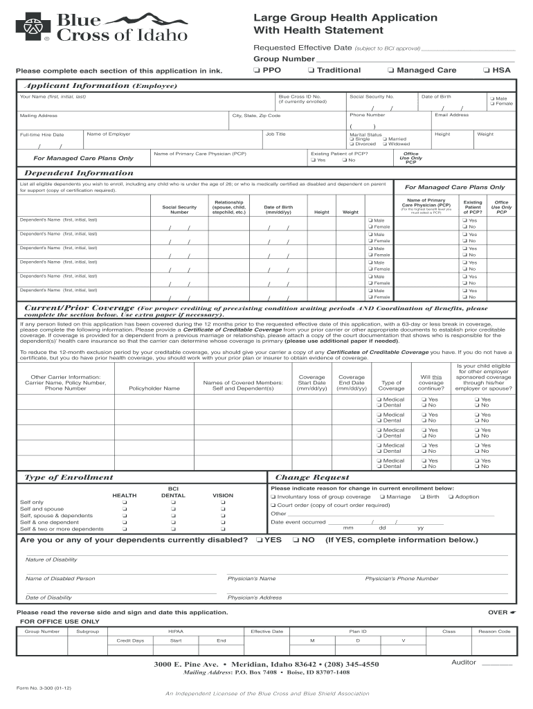  Large Group Application 2012-2024