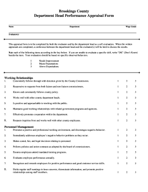 Performance Appraisal Examples PDF